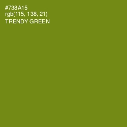 #738A15 - Trendy Green Color Image